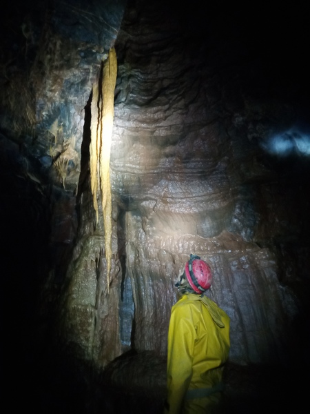 Thumbnail of photo from this article